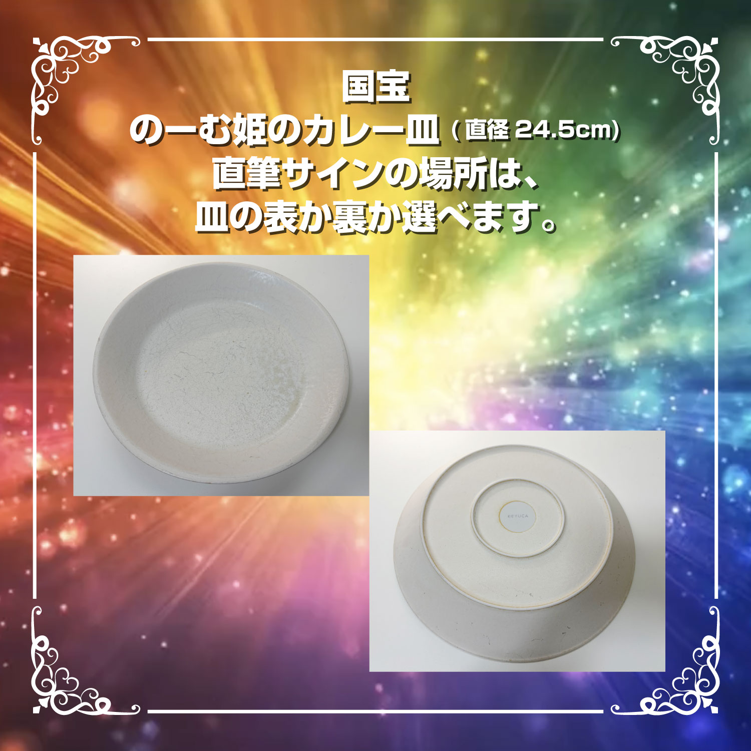 【UR】国宝のーむ姫のカレー皿（直径24.5cm）